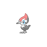 Mystic Pikipek
